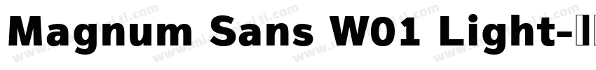 Magnum Sans W01 Light字体转换